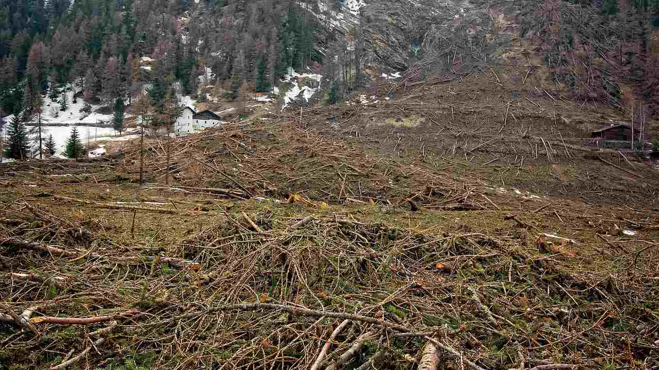 Avalancha Deja Muertos Y Desaparecidos En China N