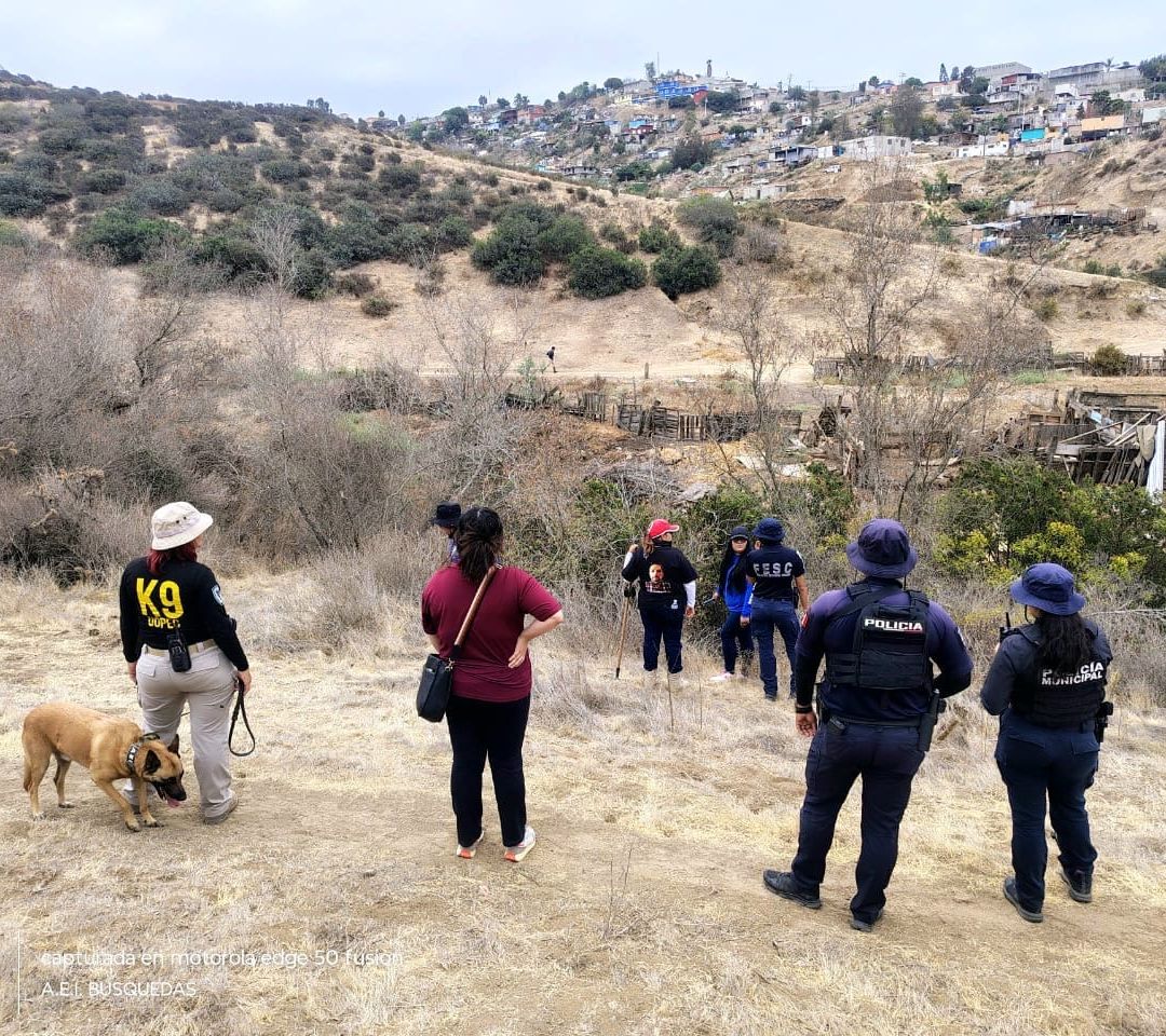 Localizan Dos Osamentas Humanas Durante Búsqueda en El Sauzal, Ensenada