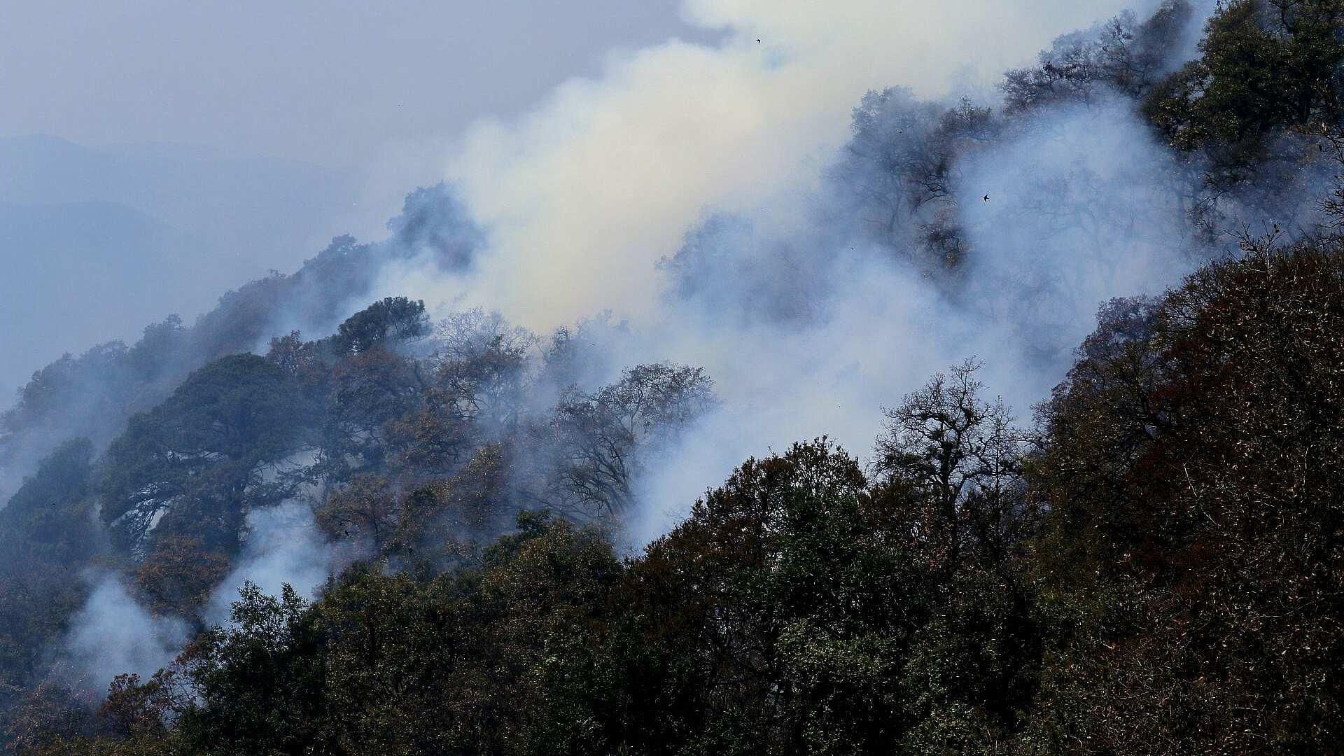 Incendio forestal en cerro del Tepozteco consume 105 hectáreas