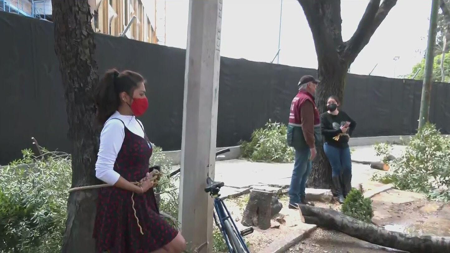Ambientalistas protestan por tala de árboles en alcaldía Miguel Hidalgo