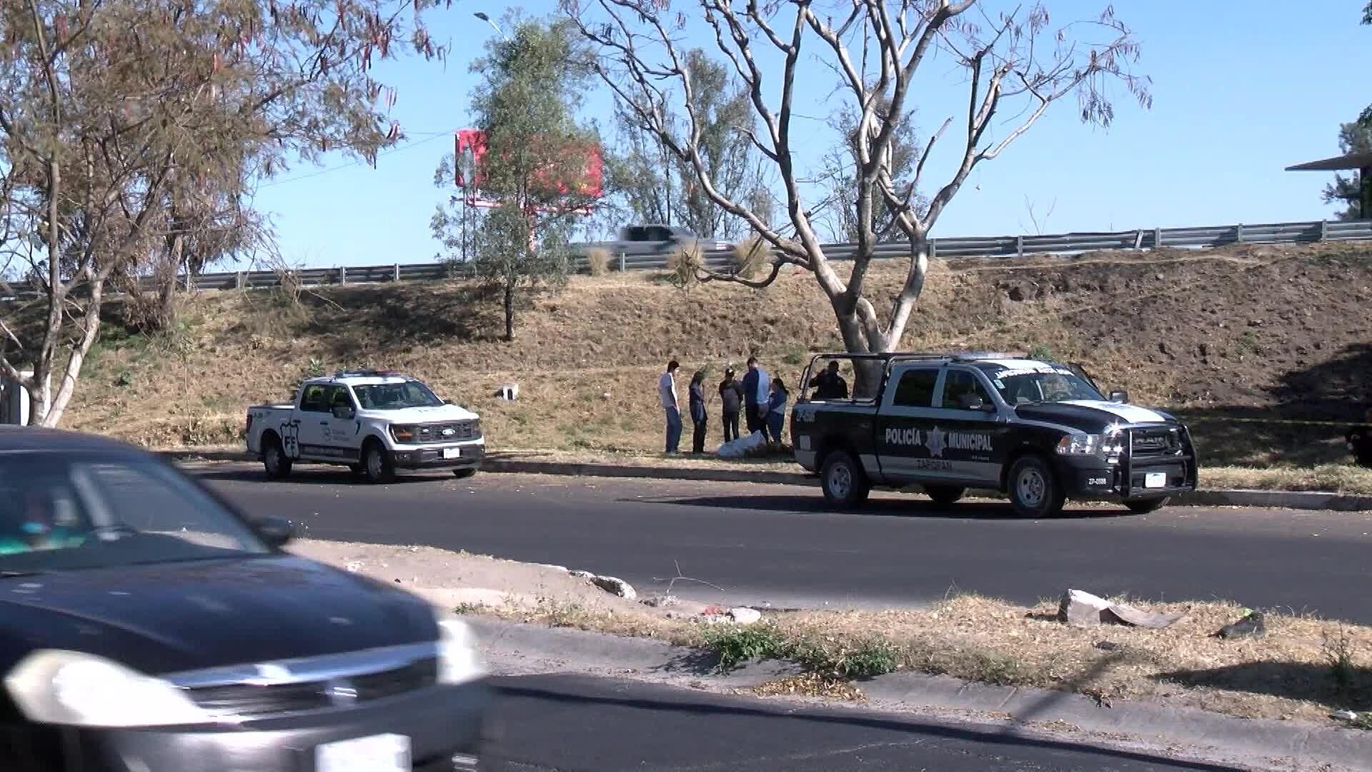 Hombre de la Tercera Edad Muere Tras Caer de un Árbol al Intentar ...