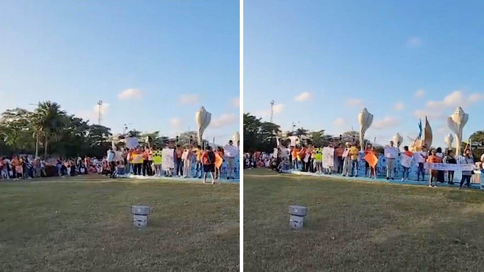 Marchan en Contra del Maltrato Animal en Cancún, Quintana Roo