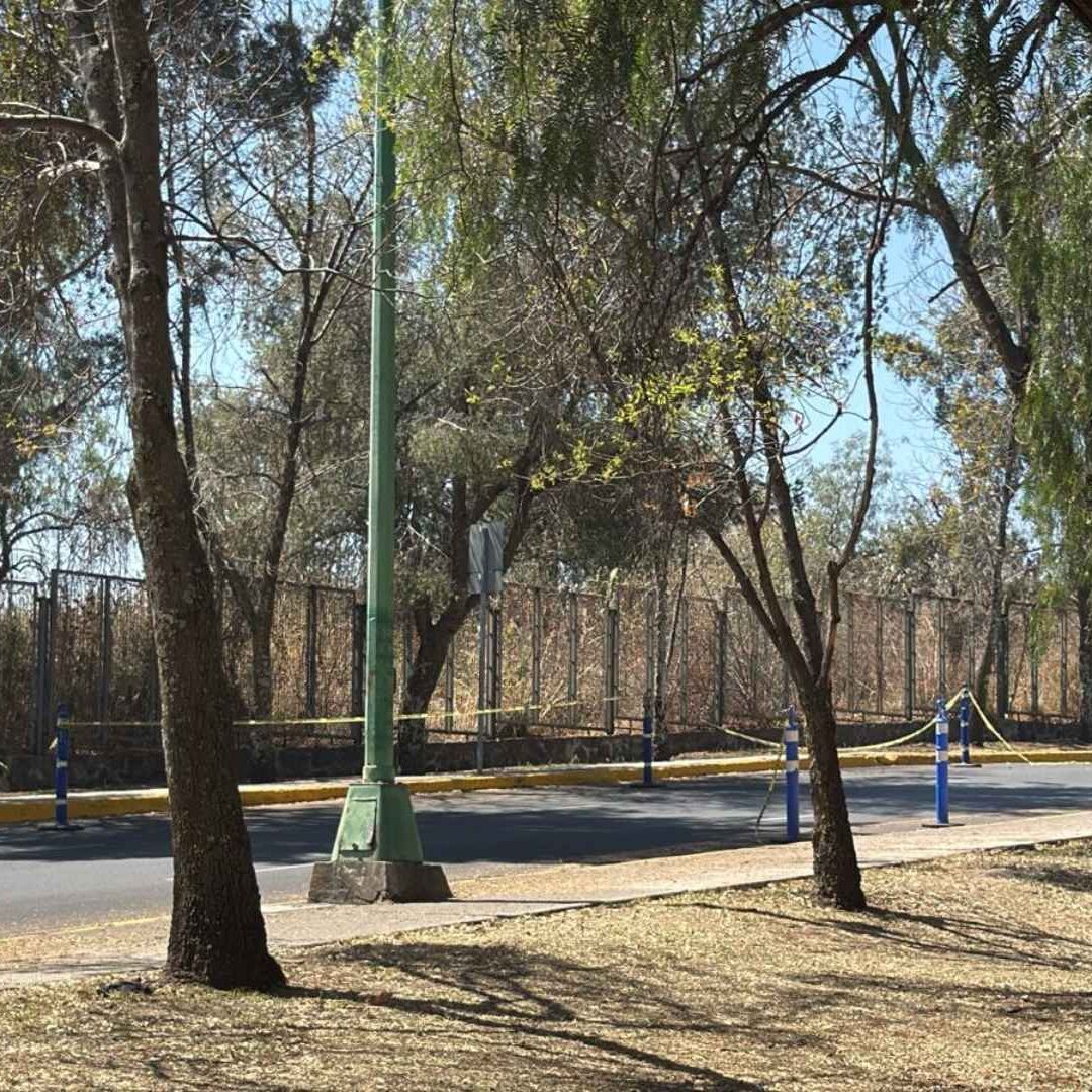 Ante el deceso, el área jurídica de la UNAM notificó a la FGJCDMX.
