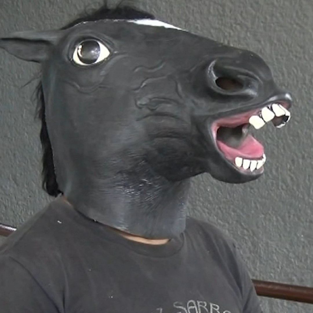 Luis, un joven que desde los 8 años actúa y siente que es un equino