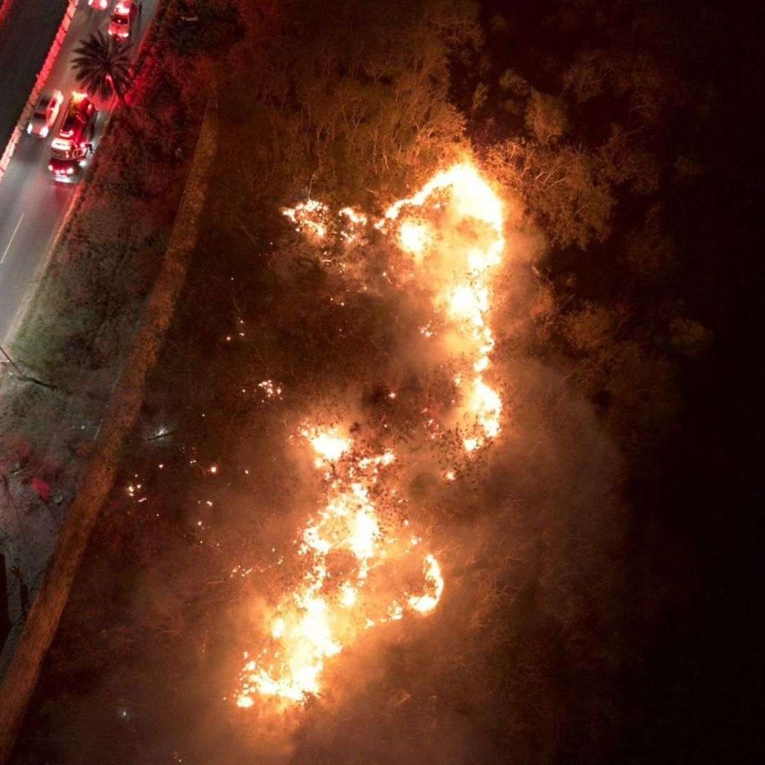 Incendio en el Lecho del Río Santa Catarina