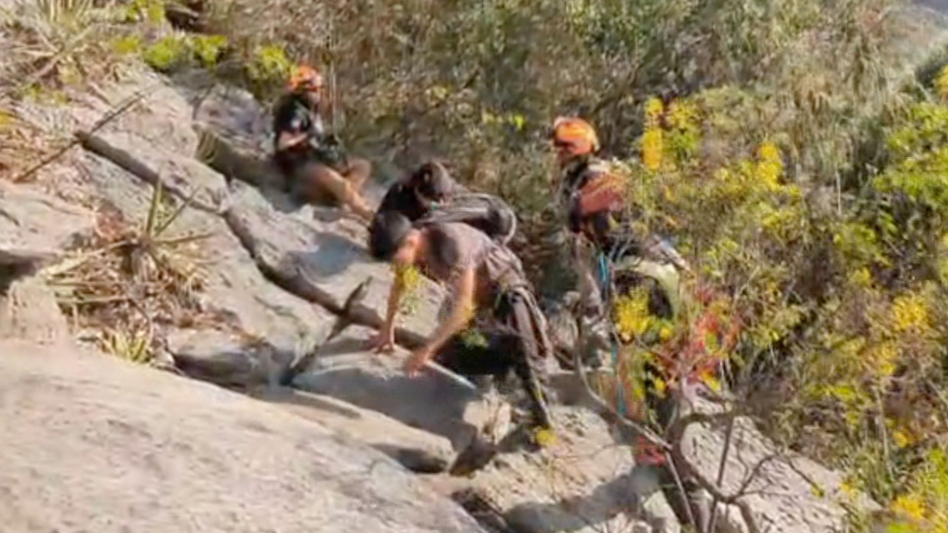 Rescate Cerro de la Silla