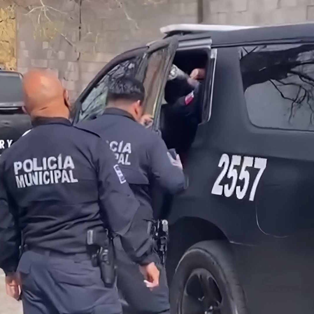 Rescatan a Mujer que Maullaba y Pedía Ayuda Arriba de Árbol en Piedras Negras