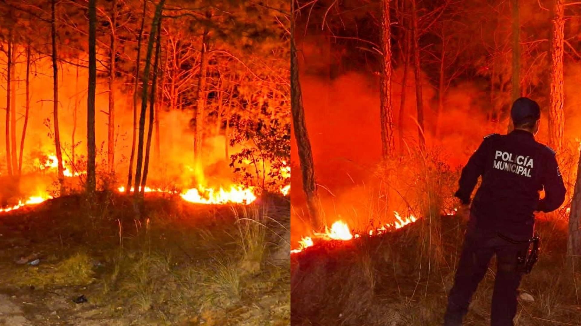 Policía municipal en incendio de pastizal ocurrido en Perote, Veracruz.