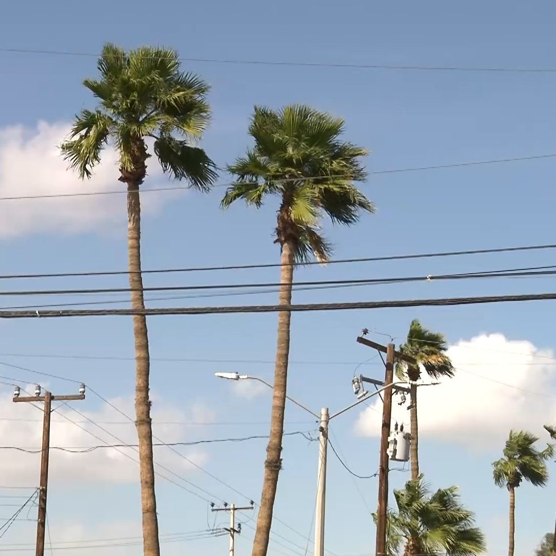 Alertan por Lluvias y Fuertes Vientos Hoy en Municipios de Baja California