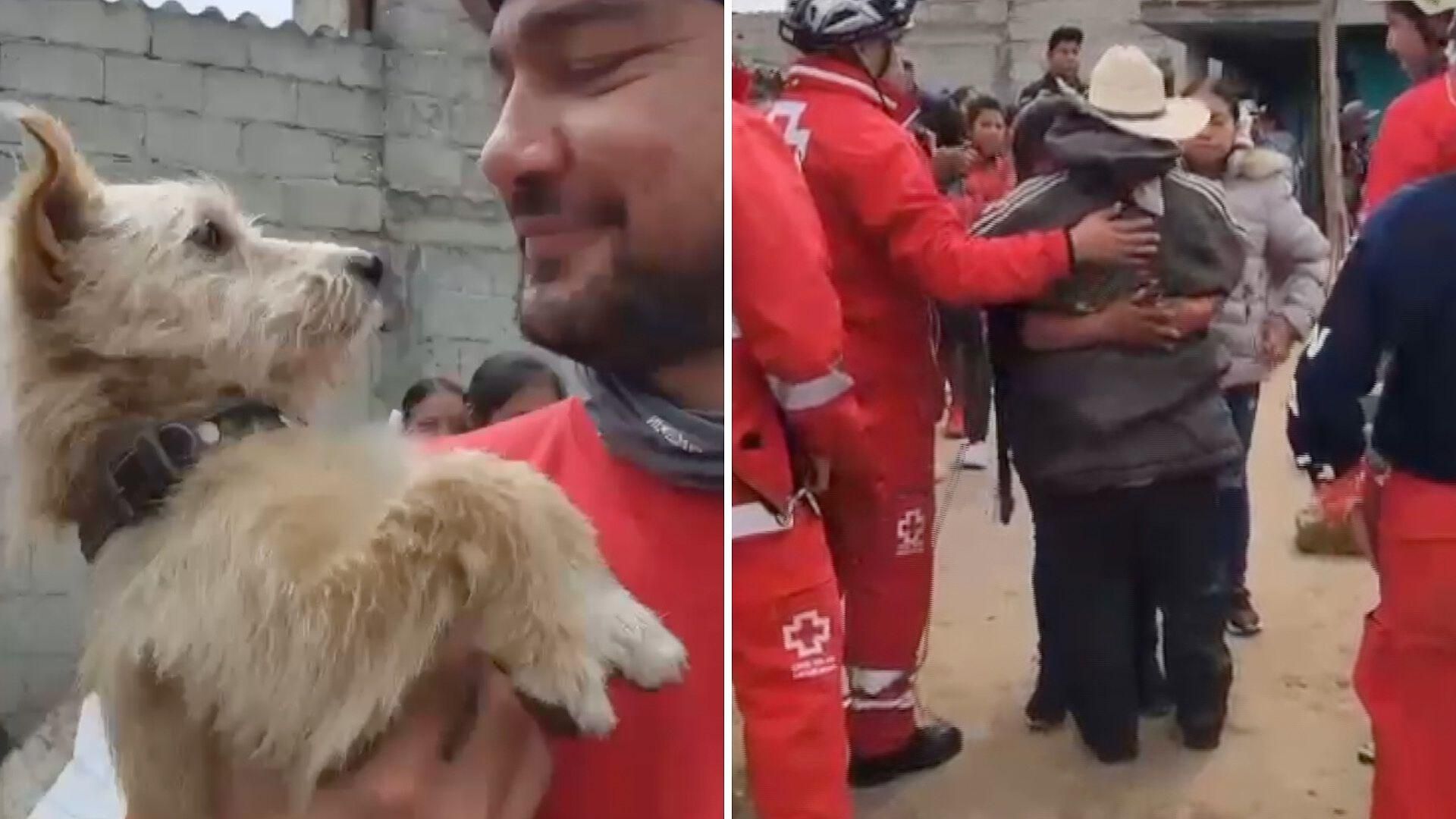 Emotivo Rescate: Adulto Mayor y Perrito Habían Desaparecido Tras Ir a ...