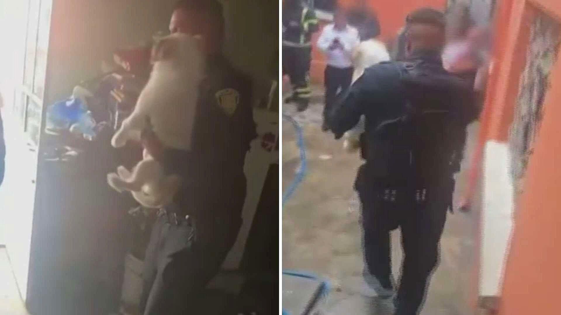 Así fue el Rescate de Dos Perritos en Incendio de Vivienda de Álvaro ...