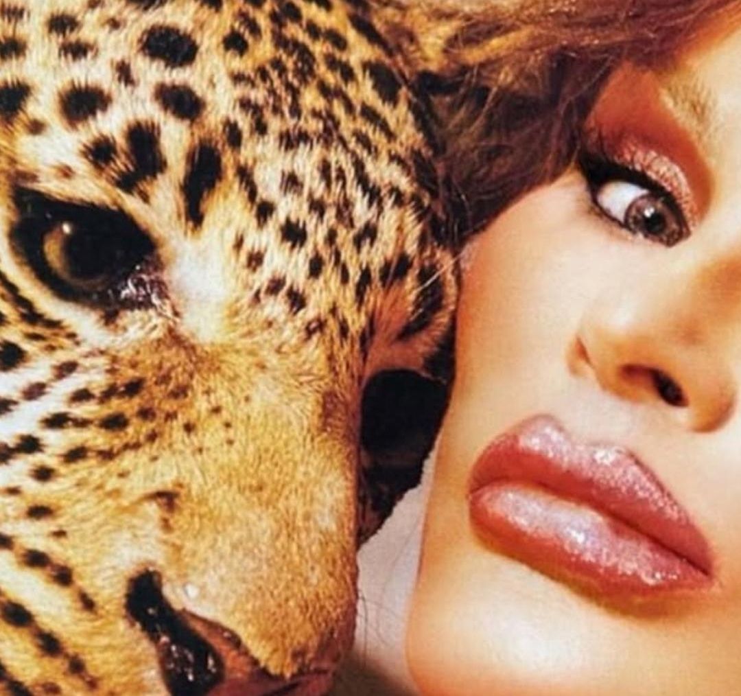 Muere Jocelyn Wildenstein, La Señora Gato