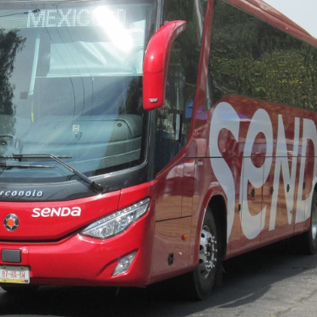 Autobús de grupo Senda