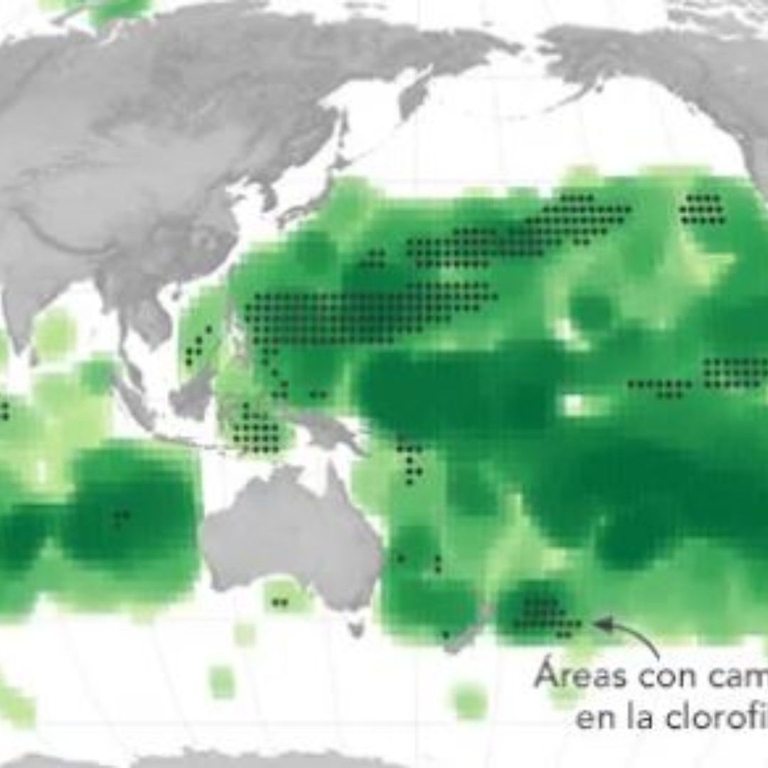 NASA Detecta que Color del Mar Está Cambiando a Verde; ¿Qué Está Pasando?