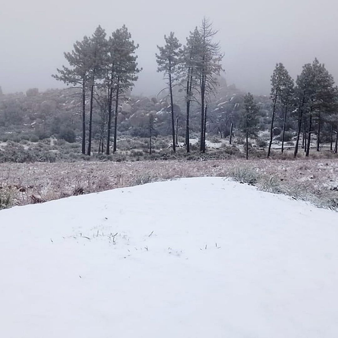 Cae la primera nevada de 2024 en Baja California