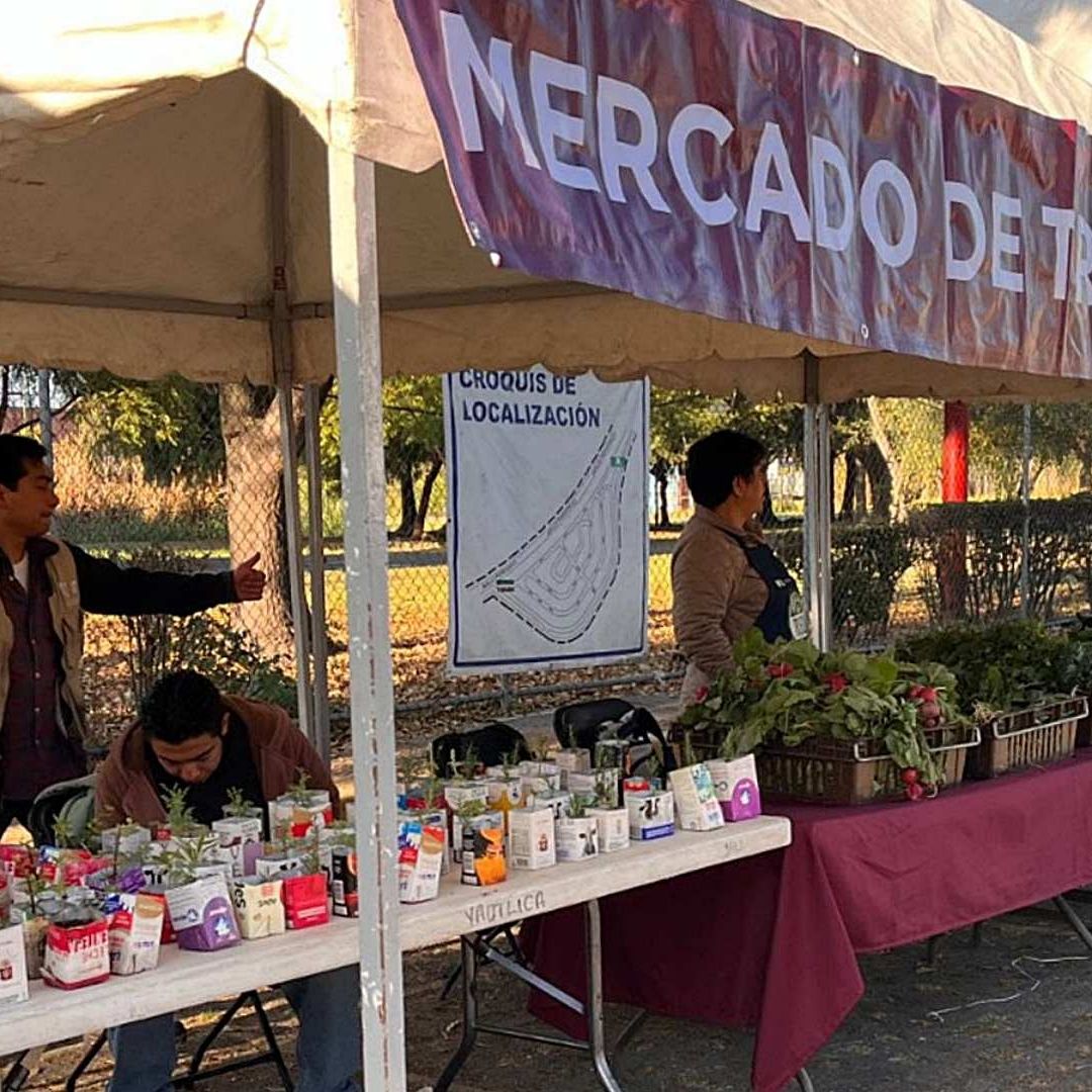 ¿A Dónde Llevar tu Árbol de Navidad? Fecha y Horario del Mercado de Trueque en CDMX
