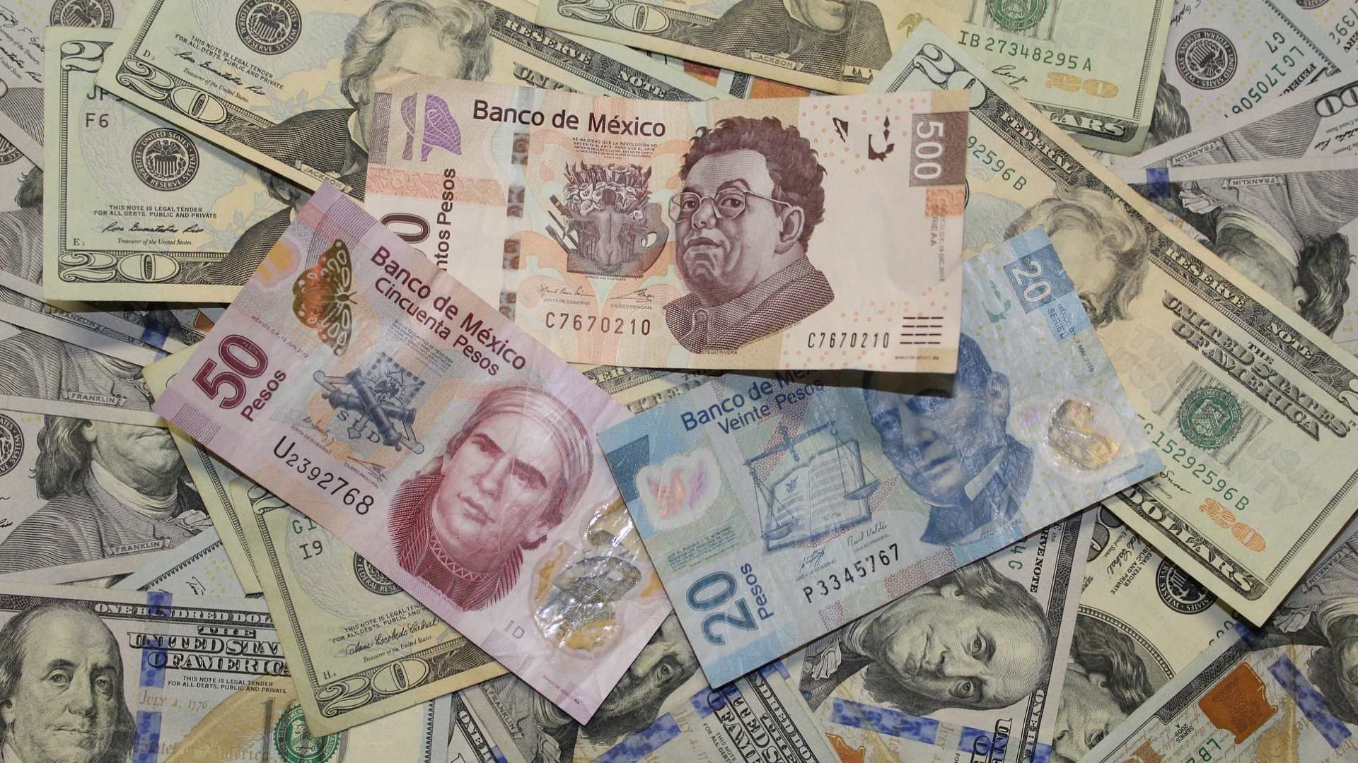 ¿Subirá o bajará el precio del dólar en 2024? Conoce su panorama