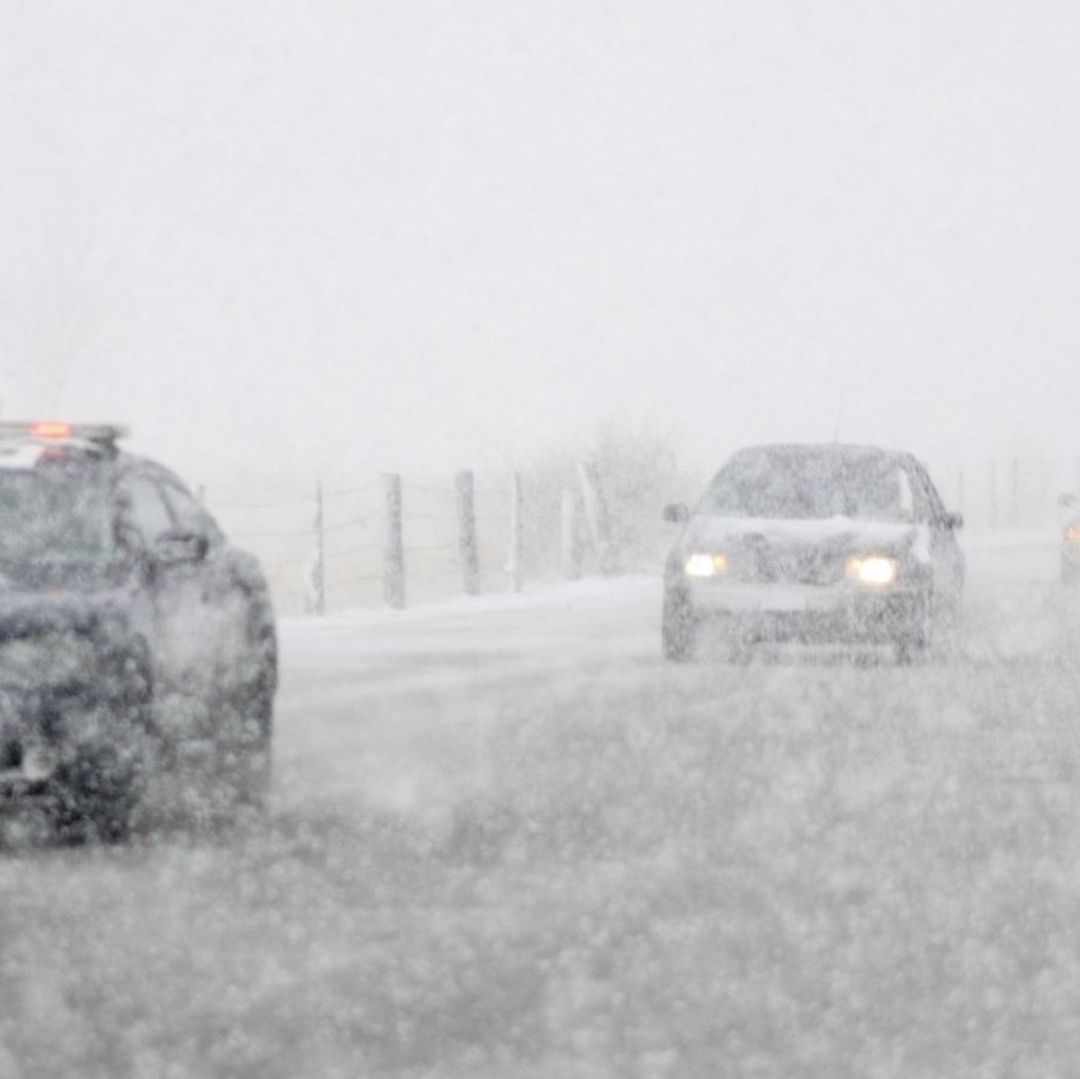 Nevada en Chihuahua en 2015