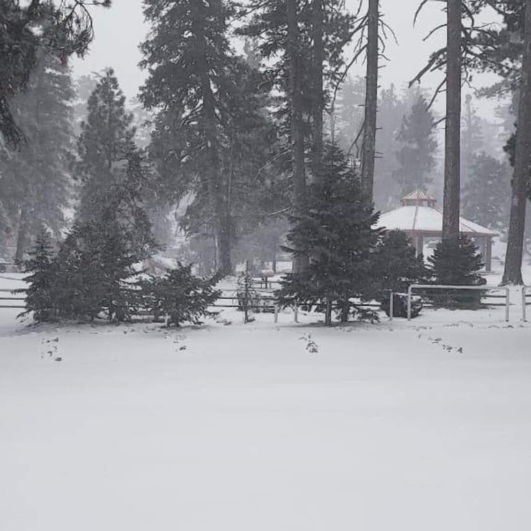 Galería | Cae Primera Nevada de 2025 en Baja California