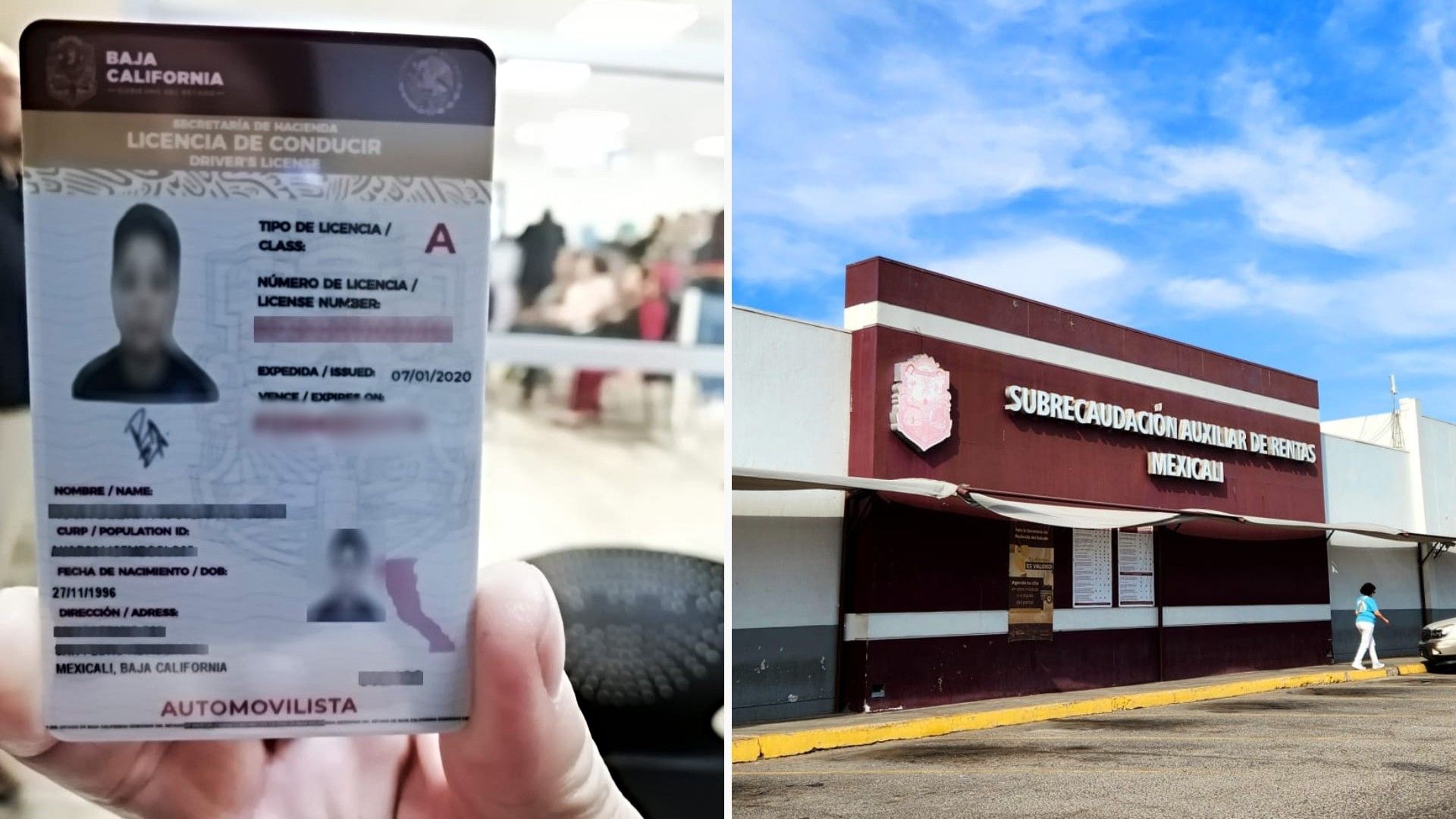 Precios 2024: Licencias, tarjeta de circulación y placas en Baja California