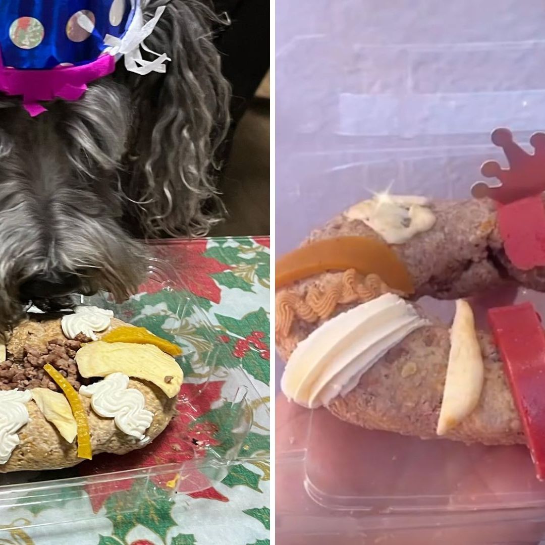 Rosca de Reyes para Perritos: ¿Cuánto Cuesta y Dónde la Venden?