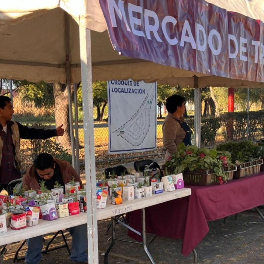 Mercado de Trueque 2025: ¿Cuándo y Dónde Se Cambiará Basura por Despensa?