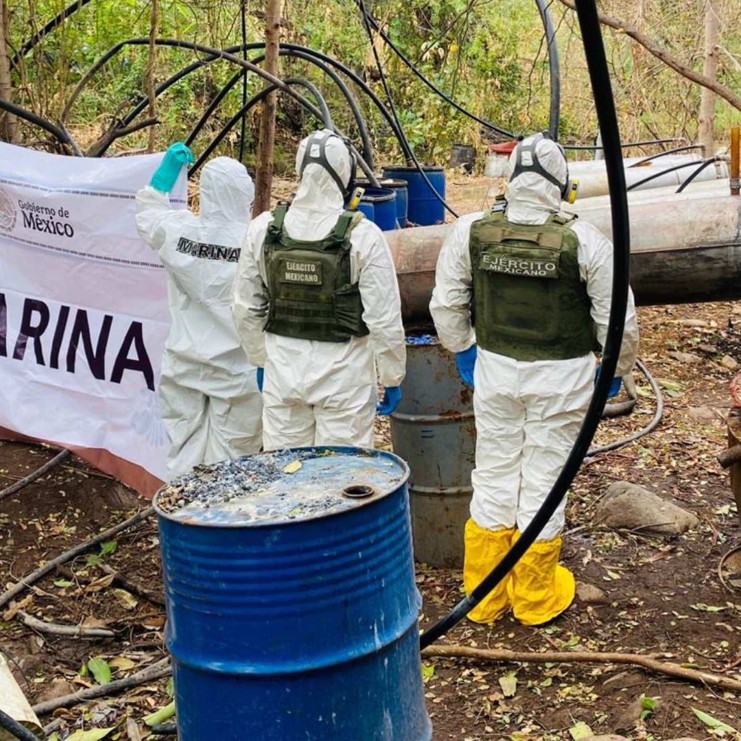 Fuerte Golpe a 'Los Mayos': Destruyen Enorme Narcolaboratorio en Sinaloa
