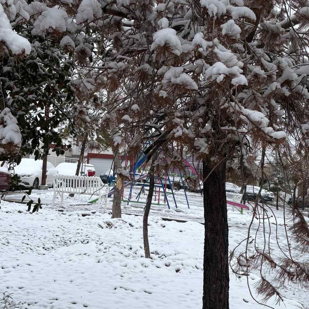 Amanece Chihuahua Cubierto de Nieve Hoy 10 de Enero del 2025