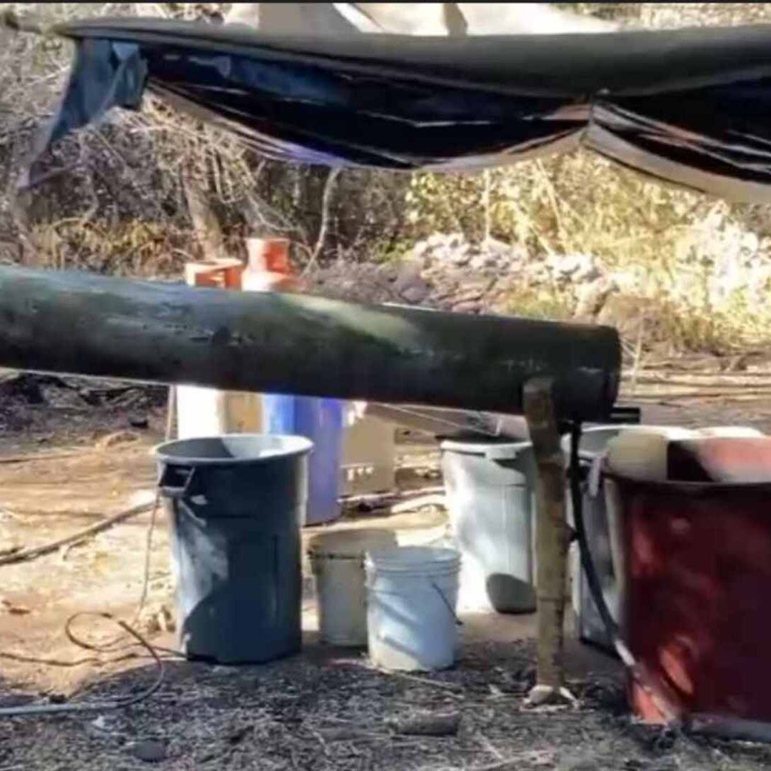 Laboratorios Clandestinos en Sonora son Encontrados Mayormente en Frontera con Sinaloa: SSP