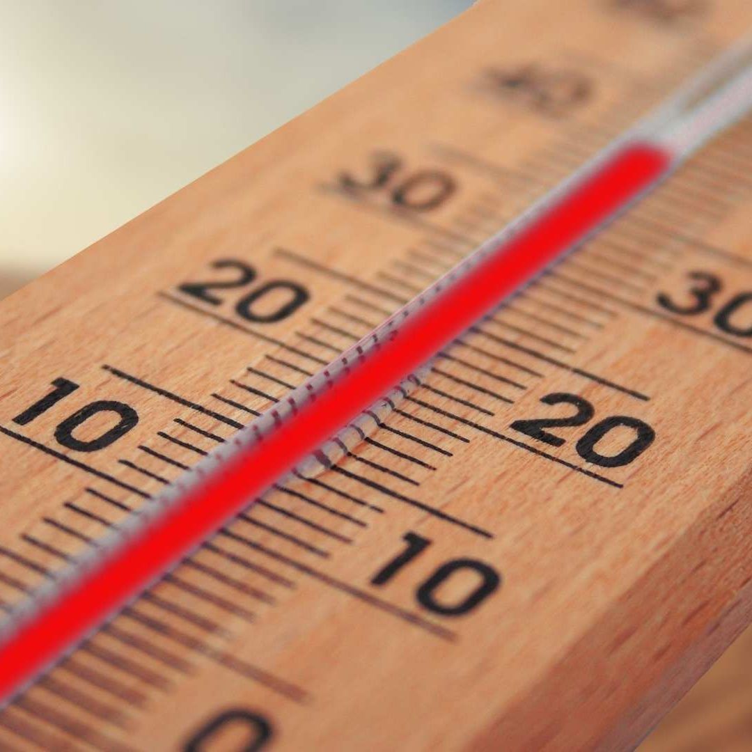 La Tierra experimentó aumentos récord en las emisiones de dióxido de carbono