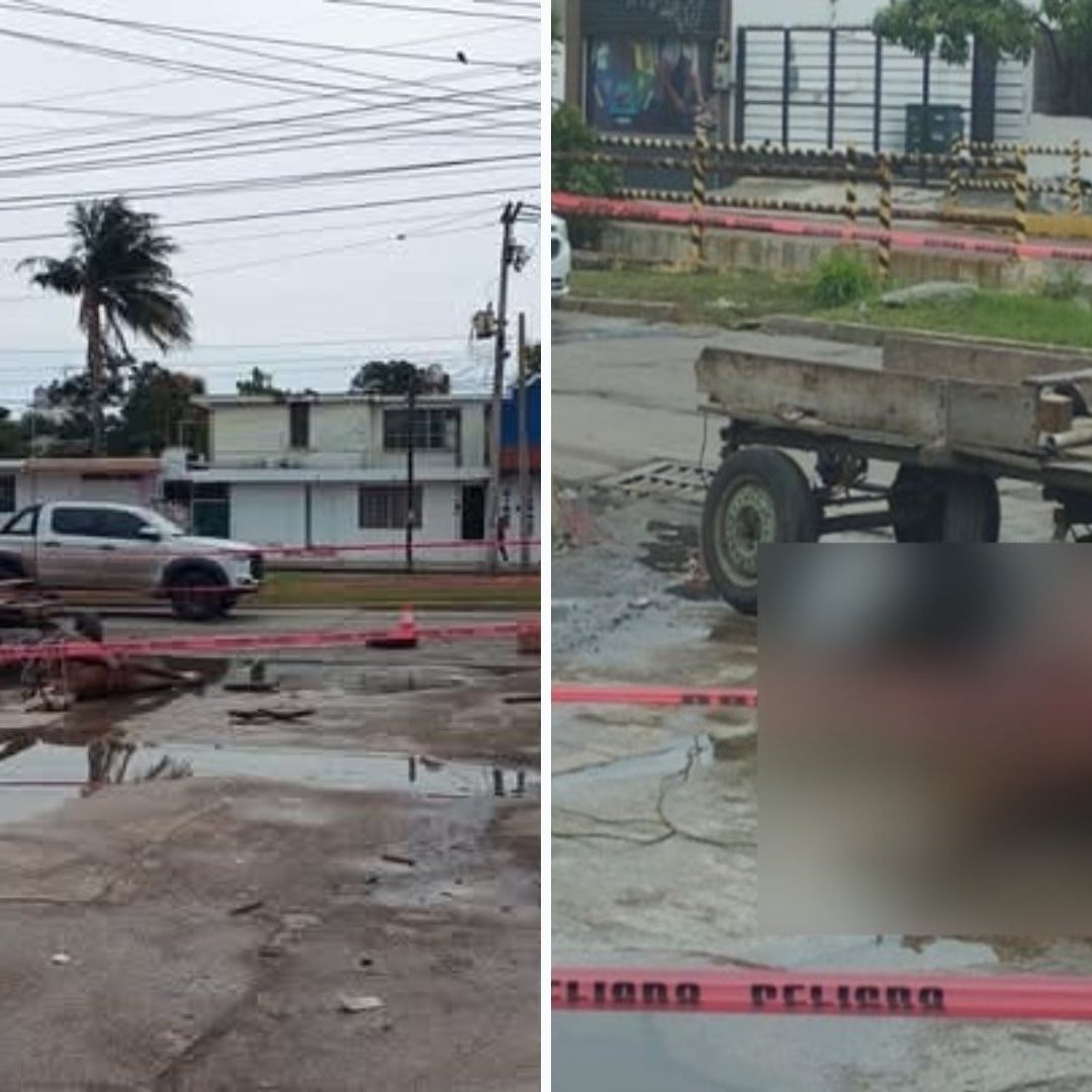 Caballo que Jalaba Carreta Muere Electrocutado en Calles de Tamaulipas