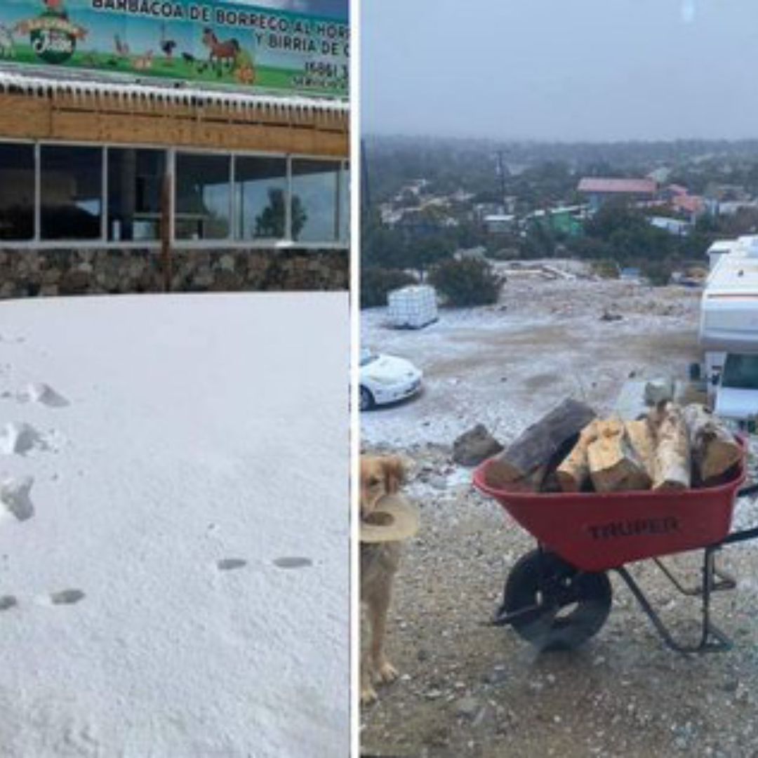 Cuarta Tormenta Invernal Sorprende con Nevadas a Chihuahua, Sonora y Baja California