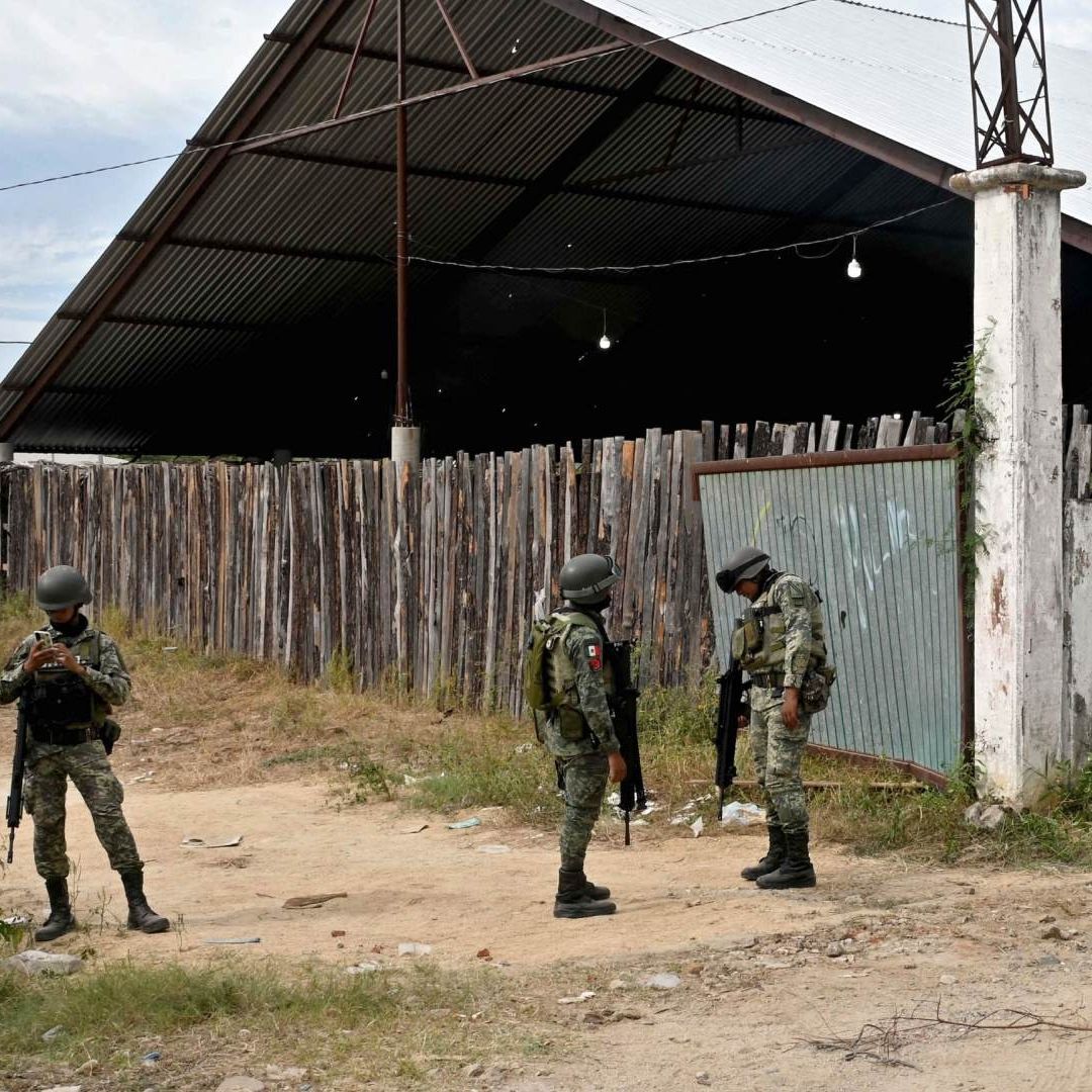 Elementos del Ejército en palenque de Petatlán