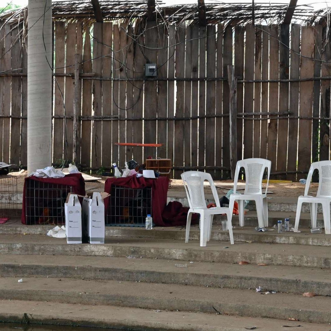 Ataque durante palenque en Petatlán, Guerrero