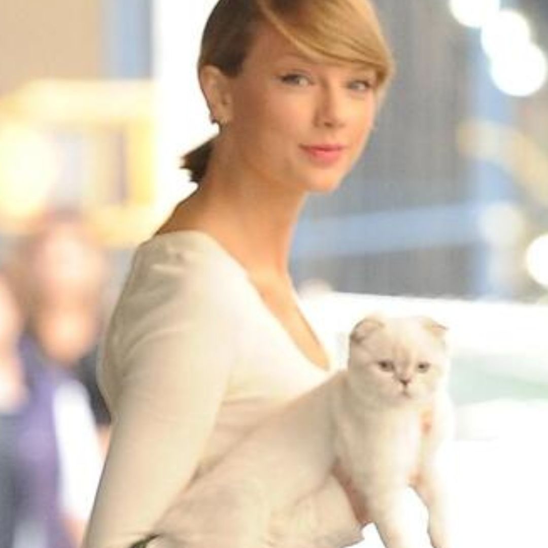 La gatita de Taylor Swift tiene mpas dinero que Travis Kelce