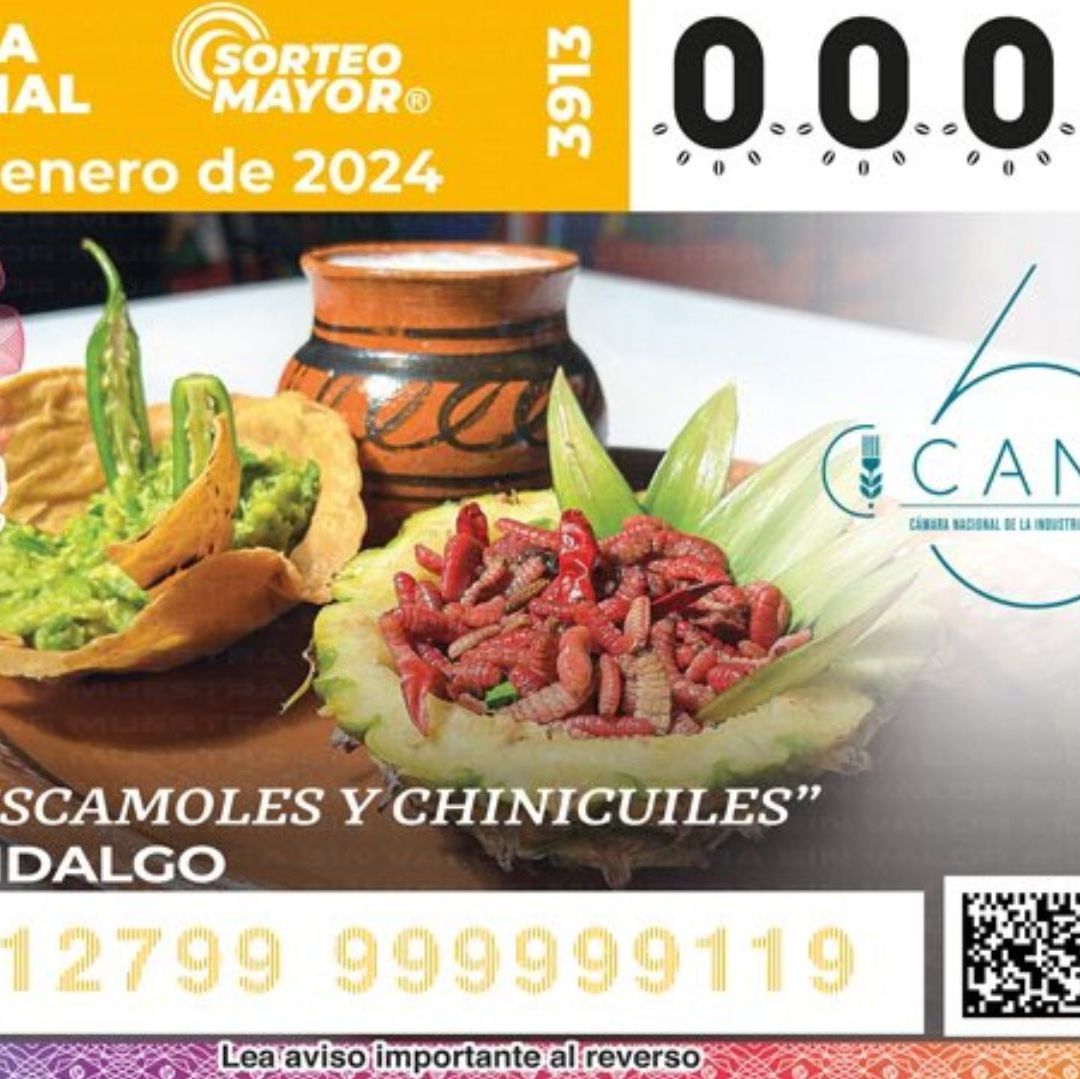 Lotería Nacional Hoy 9 de Enero 2024: Resultados del Sorteo Mayor 3813