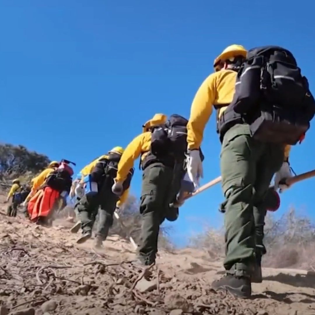 El Agrupamiento 'Cehui' Ya Trabaja para Evitar la Propagación de Más Incendios en Los Ángeles