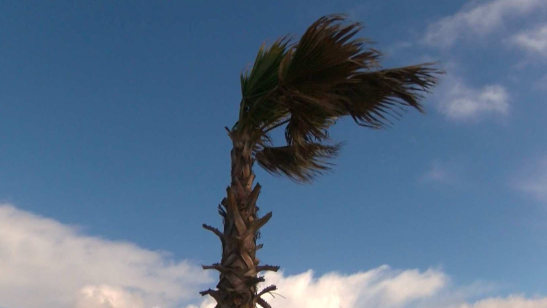Alertan Nueva Condición de Vientos de Santa Ana en Tijuana; Exhortan Precaución