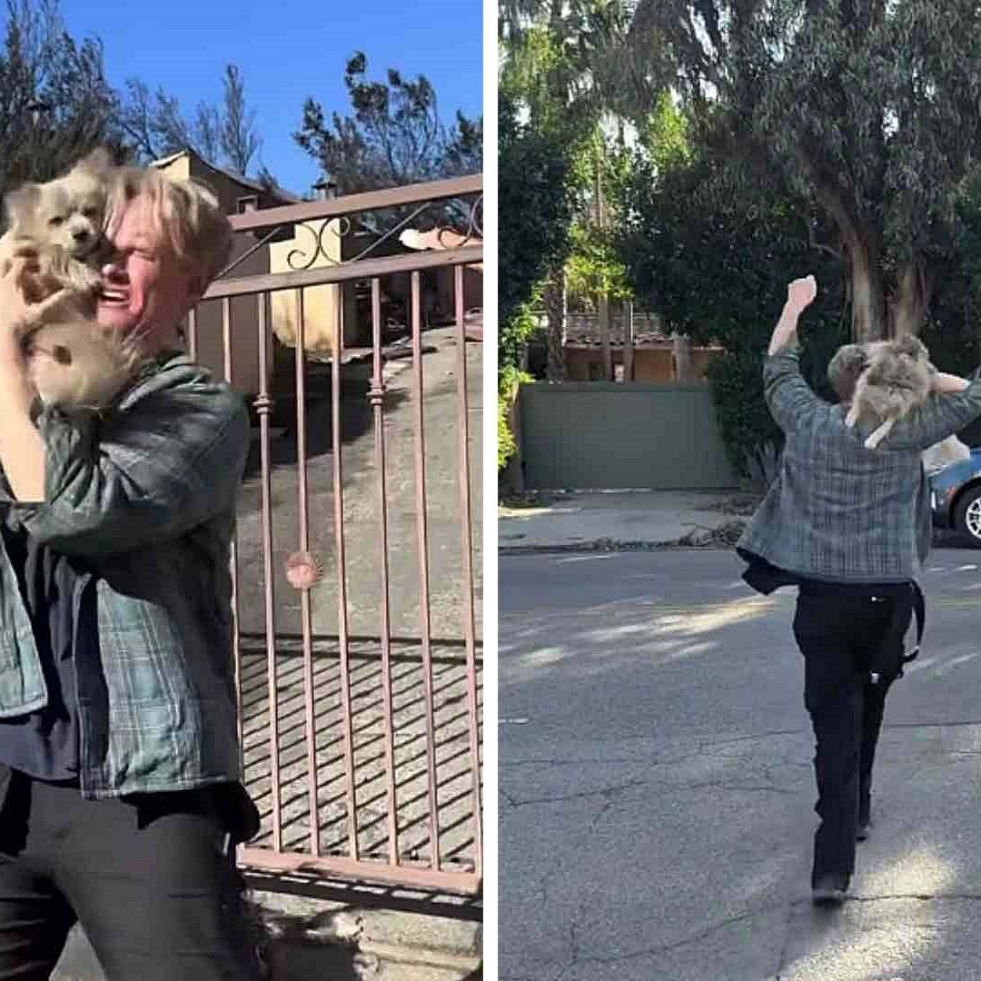 Video: Increíble Reencuentro entre un Hombre y su Perrito, Perdido En Incendios en California