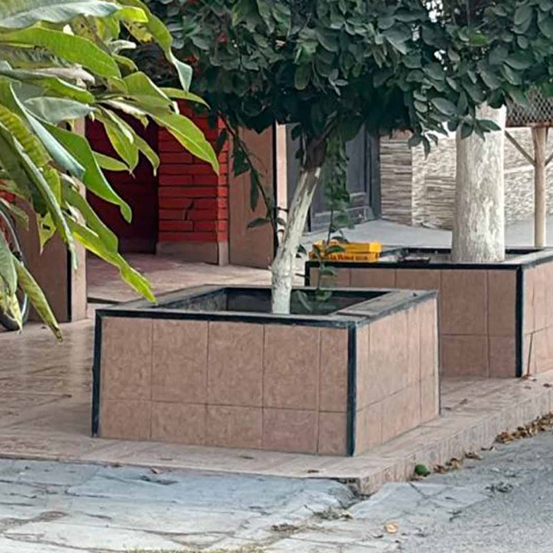 Localizan a Hombre Muerto en Jardinera de Casa en Gómez Palacio