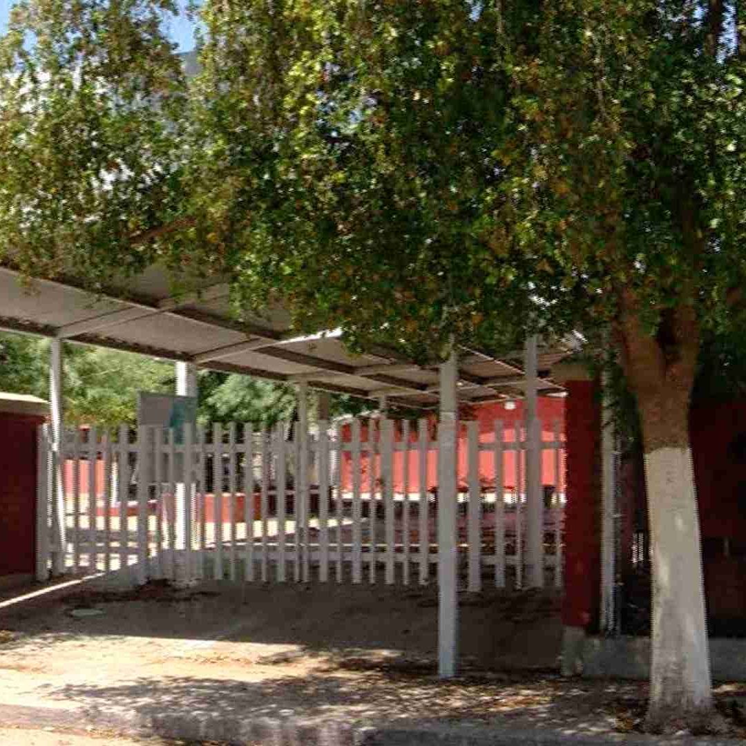 Consumo de Comida Chatarra en Escuelas; ¿Cómo Afecta en la Salud de Los Alumnnos?