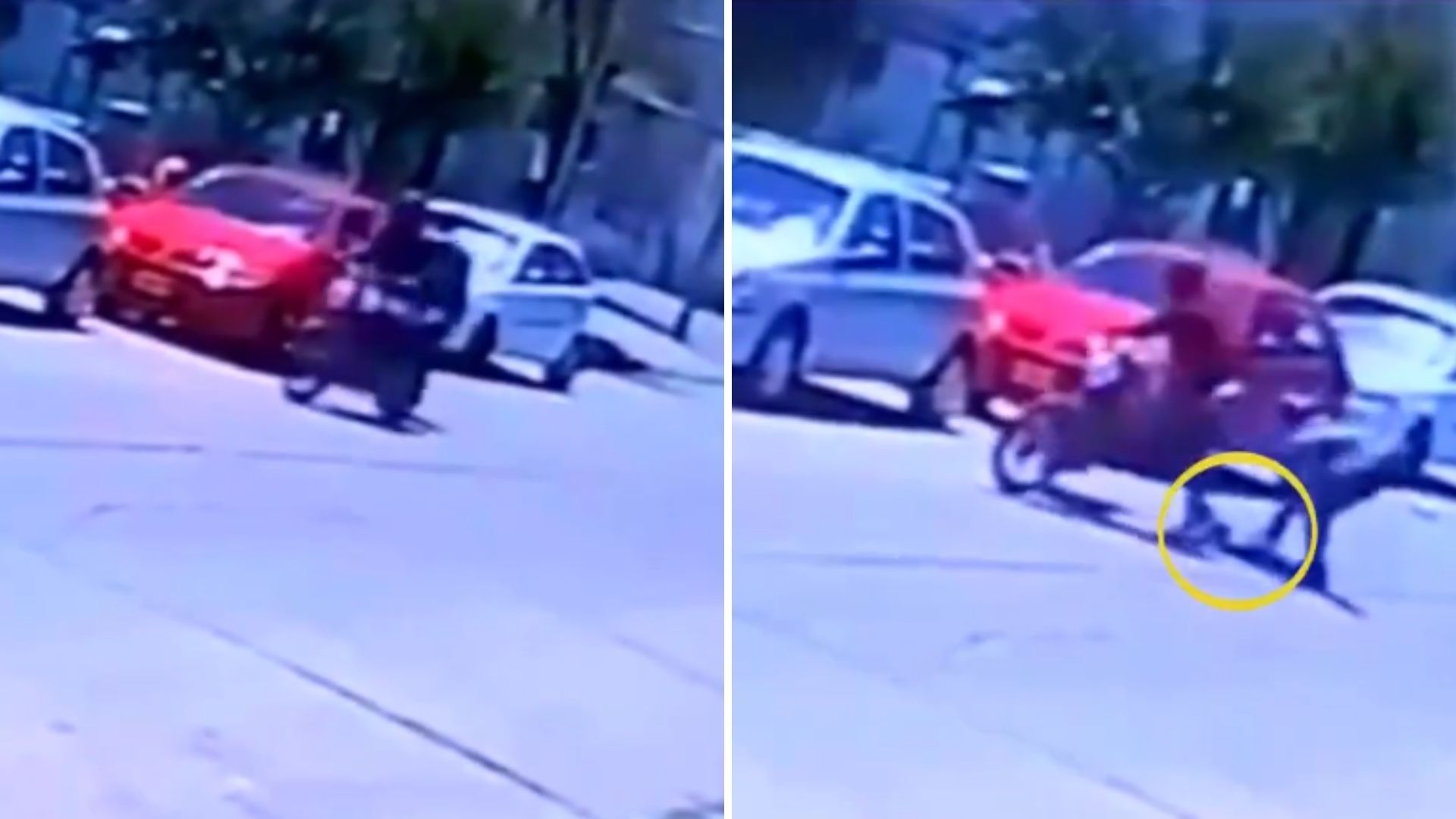 Video: Ladrón Pierde Pierna Ortopédica en Pleno Robo
