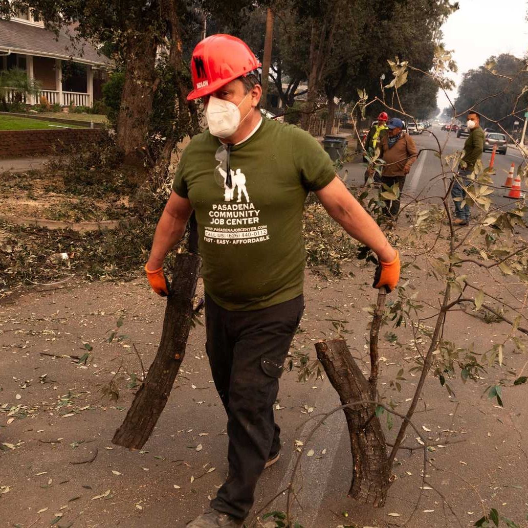 Jornaleros indocumentados trabajan en Pasadena en California