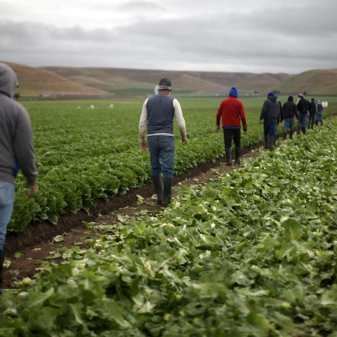 Trump, 'a la Caza' de Migrantes: Alista desde Redadas hasta Restricciones de Ingreso a EUA