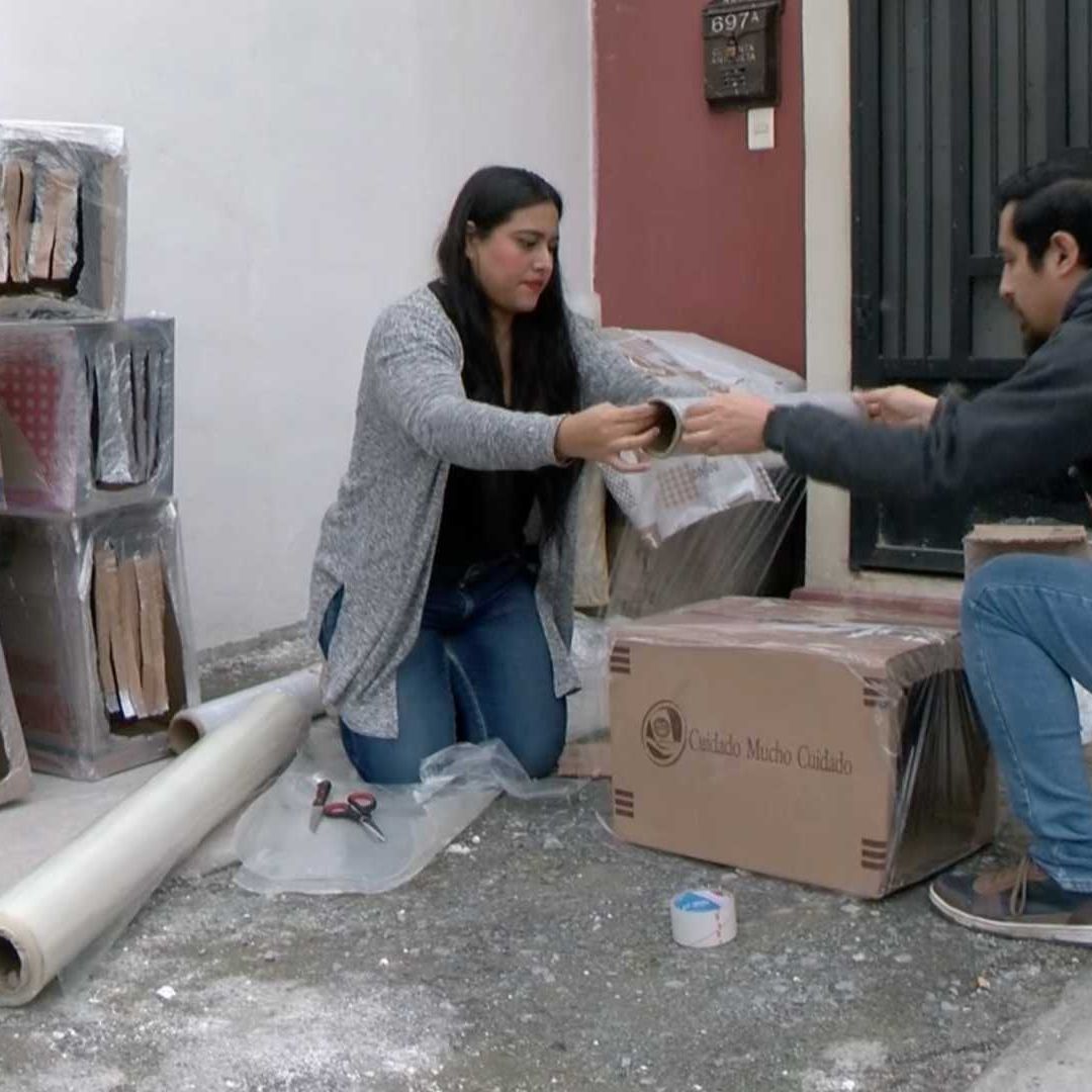 Hacen Casas de Cartón para Perros Callejeros Ante Bajas Temperaturas en Nuevo León