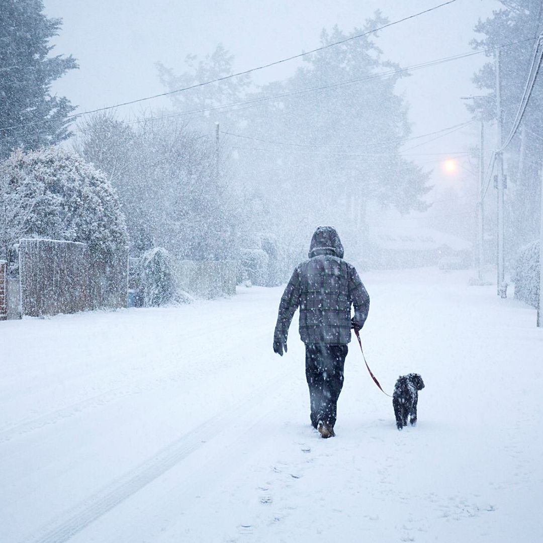 Frío extremo afecta Canadá con temperaturas de hasta -50 grados
