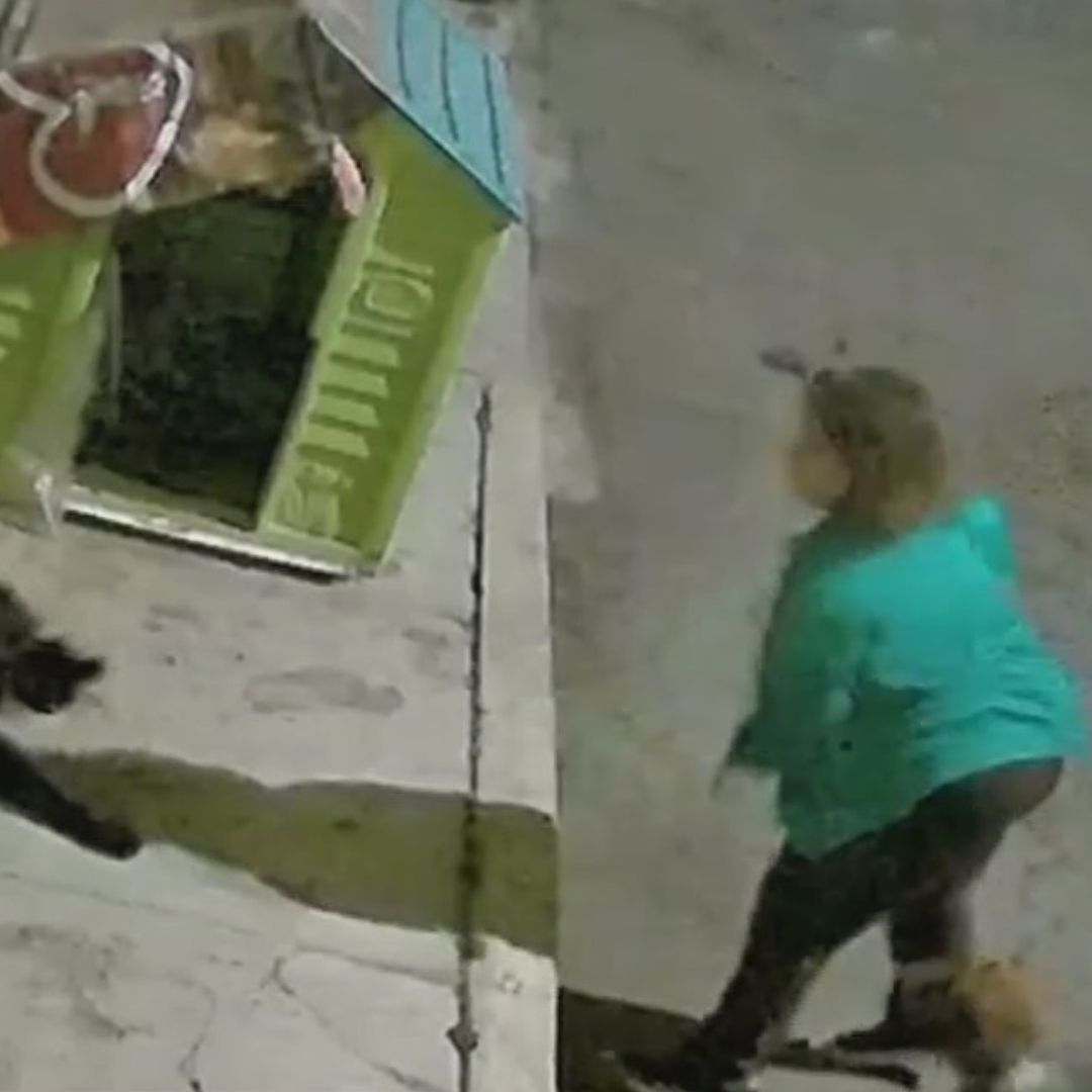 ¡Con los Lomitos No! Mujeres Agreden a Perro Callejero