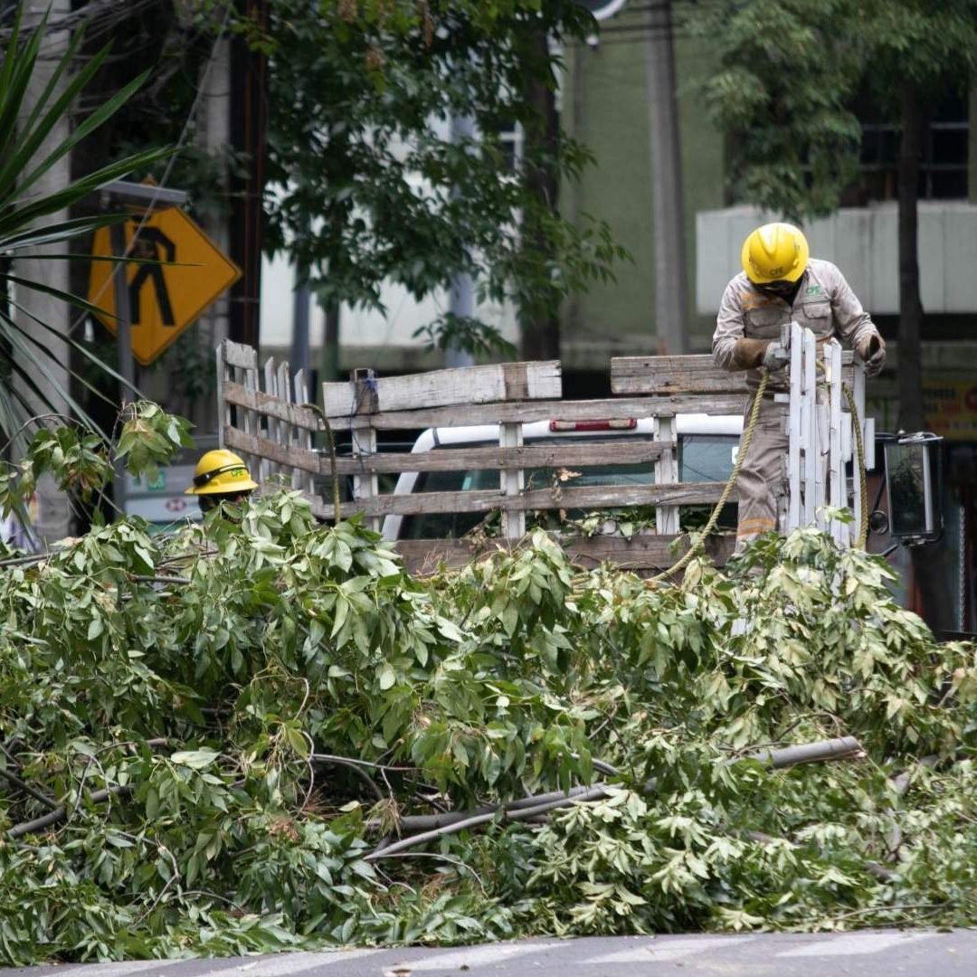 Activan Alerta Amarilla en CDMX por fuertes vientos.
