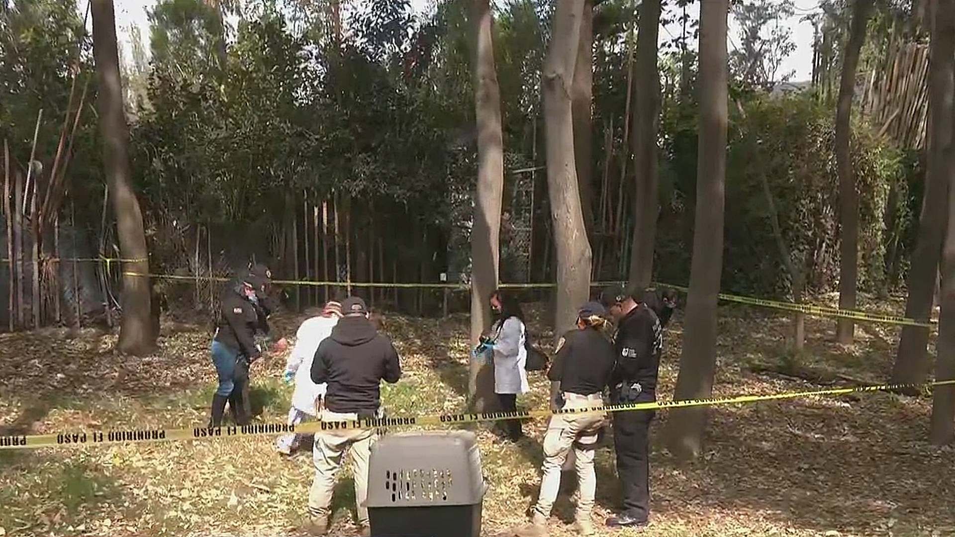 Hallan otro perrito muerto en Nativitas; suman 22
