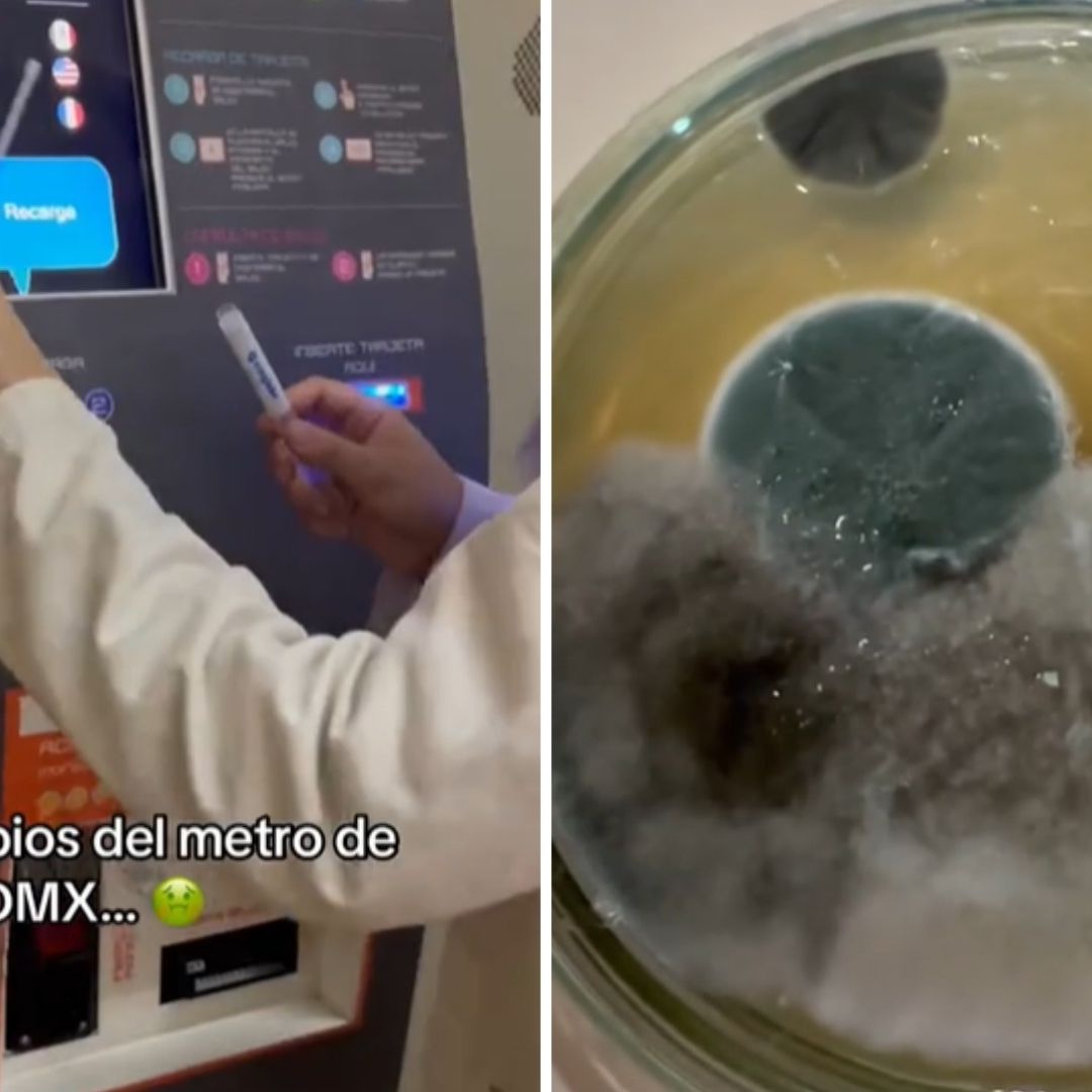 Microbios en el Metro CDMX